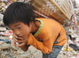 Top 10 China News of 2011