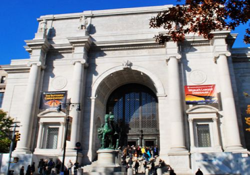 American Museum of Natural History, New York City, one of the 'Top 10 most-visited museums in the world'.