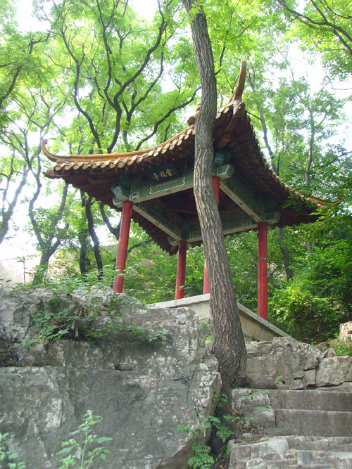 Laolongwan scenic spot in Shandong