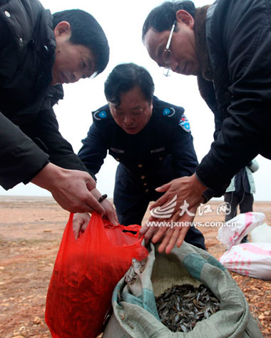 Around 2 tons of fish and corn will be airdropped to a 133-square-kilometer reserve near drought-hit Poyang Lake. [jxnews.com.cn] 