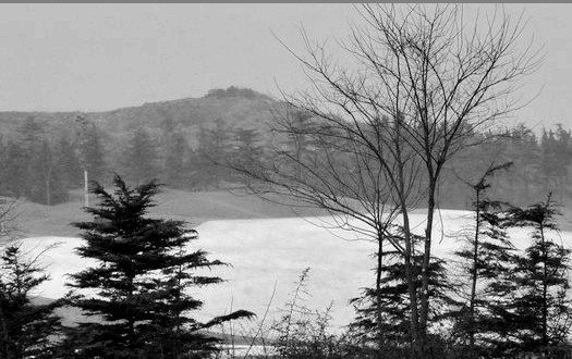 Qingdao gets first snowfall in the Year of Dragon