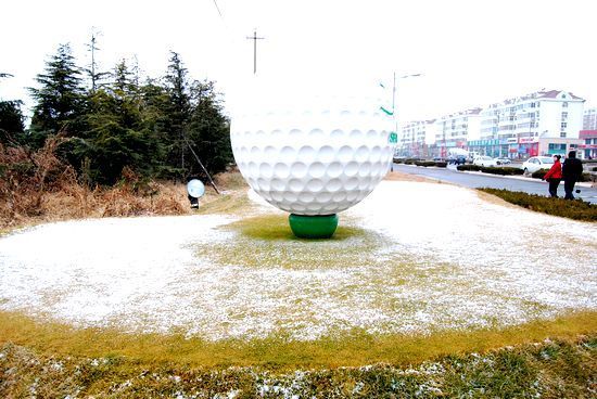 Qingdao gets first snowfall in the Year of Dragon