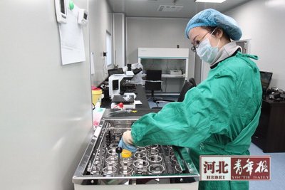 Tough standards at N China's sperm bank