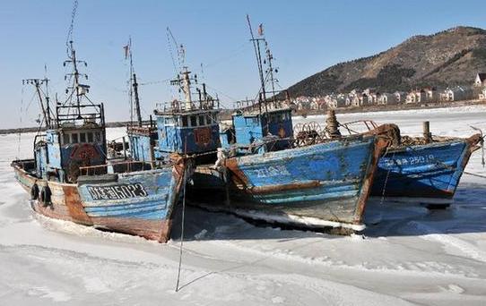 Fishing boats are frozen in ice at a harbour on the Jinzhou Bay of Bohai Sea in Dalian, northeast China's Liaoning Province, Feb. 1, 2012. The National Marine Environmental Forecasting Center issued a sea ice blue alert recently. [Xinhua]