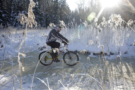 A cyclist rides his bicycle on frozen river near Ragana February 5, 2012. Many weather observation stations across Latvia registered new record-cold temperatures on Sunday according to the information from the Latvian Environment, Geology and Meteorology Center. [Agencies] 