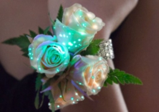 The glowing flowers is bound to be a hit with potential brides who might want to add a splash of glamour to weddings or with people who want to brighten up a party. [Agencies]