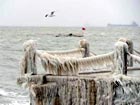 Freeze affects 40,000 in Northern China