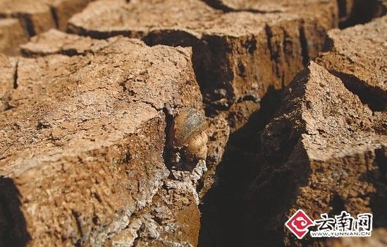 Yunnan is suffering from its lowest amount of rainfall since 2009. [yunnan.com] 