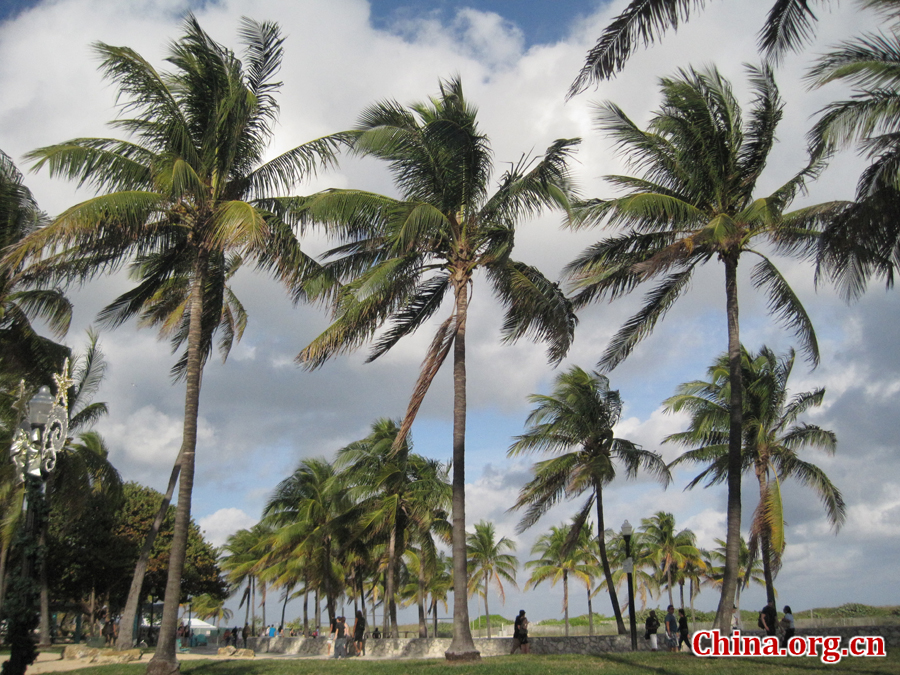 Photo shows the beautiful scenery of South Beach, Miam, Florida, United States. [China.org.cn/Photo by Chen Xia]