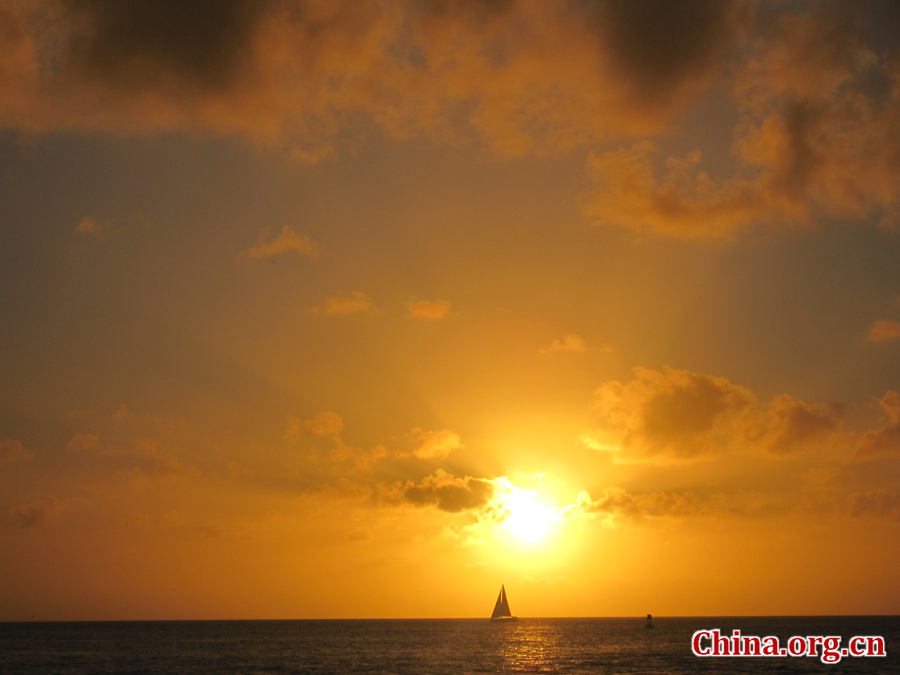 Photo shows the beautiful scenery of South Beach, Miam, Florida, United States. [China.org.cn/Photo by Chen Xia]