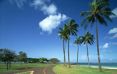 Around Hainan Island,one of the &apos;Top 10 best cycling routes in China&apos; by China.org.cn.