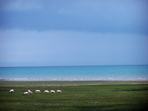 Around Qinghai Lake,one of the &apos;Top 10 best cycling routes in China&apos; by China.org.cn.