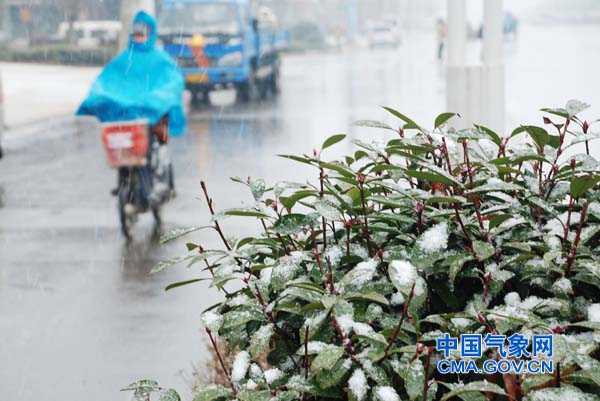 Shandong witnesses heavy snow