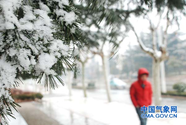 Shandong witnesses heavy snow