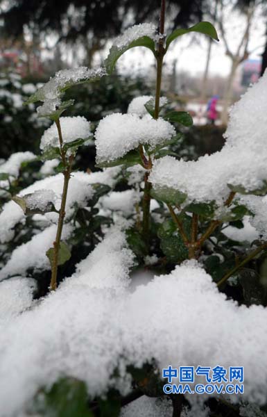 Shandong witnesses heavy snow