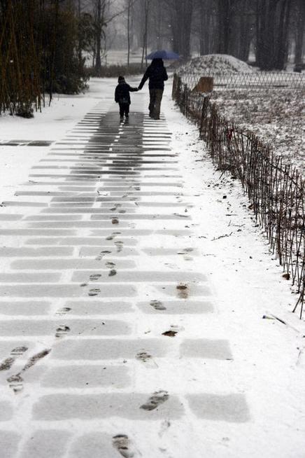 Shandong witnesses heavy snow