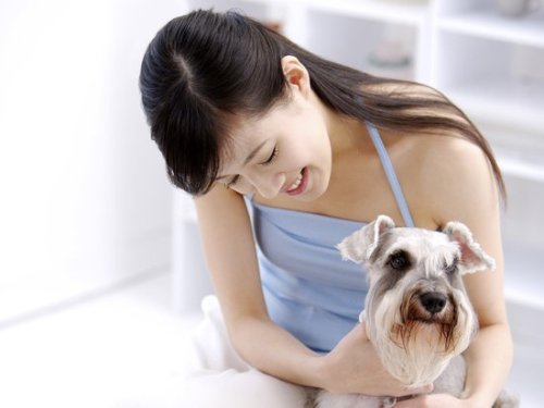 Pet keeping, one of the 'Top 10 entertainments of China's millionaires' by China.org.cn