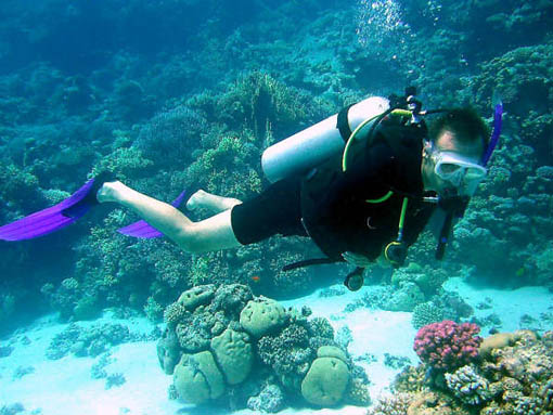 Diving, one of the 'Top 9 sports preferred by China’s millionaires' by China.org.cn
