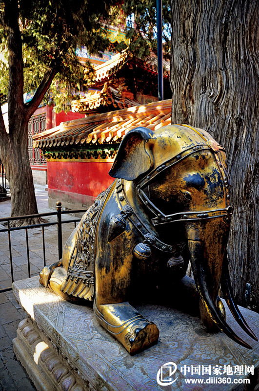 A image of the Palace Museum, also well known as the Forbidden City. (Photo: dili360.com) 