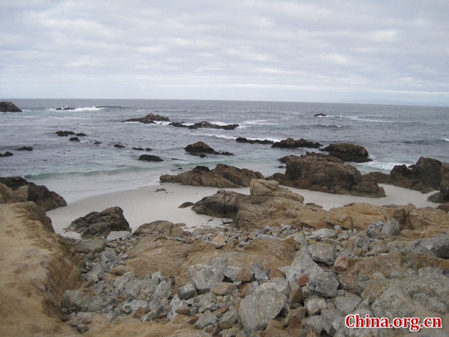 Pebble Beach, California,the United States. [China.org.cn /Photo by Chen Xia]