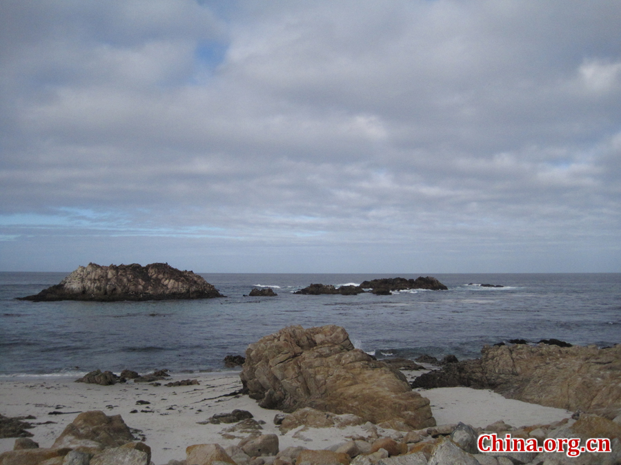 Pebble Beach, California,the United States. [China.org.cn /Photo by Chen Xia]