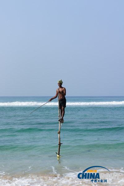 A stilt fisherman fish in Weligama, a town on the southern coast of Sri Lanka. Photo taken on February 1, 2012. [Photo/chinadaily.com.cn] 