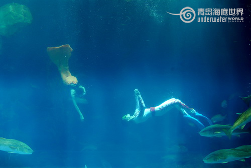 Underwater show on Valentine's Day in Qingdao