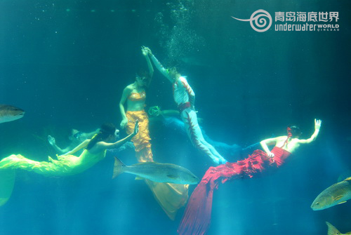 Underwater show on Valentine's Day in Qingdao
