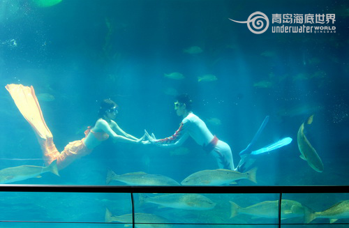 Underwater show on Valentine's Day in Qingdao