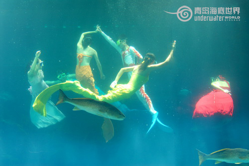 Underwater show on Valentine's Day in Qingdao