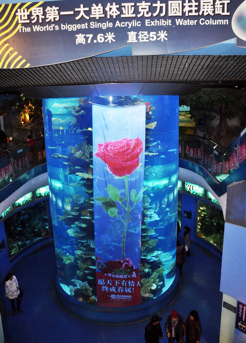 Underwater show on Valentine's Day in Qingdao