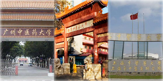 Top 10 universities of traditional Chinese medicine
