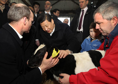 Chinese Vice President Xi Jinping (2nd L, front) and Irish Agriculture, Food and Marine Minister Simon Coveney (1st L, front) view a calf at a farm in Shannon, Ireland, Feb. 19, 2012. Xi Jinping visited James Lynch's farm in a suburb of Shannon on Sunday. [Xinhua] 