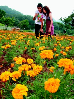 7、Daxi in Taiwan (Source: gmw.com.cn) 