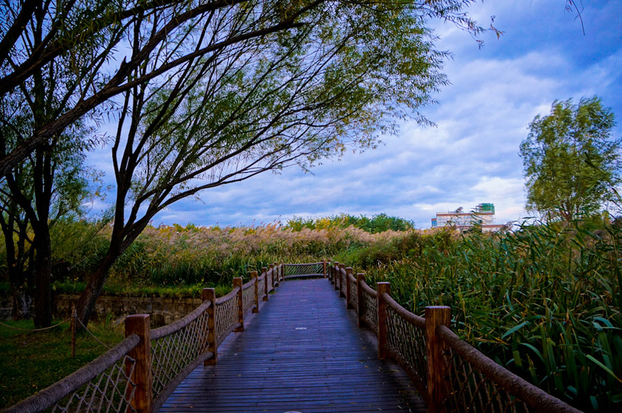 Olympic Forest Park is located to the north of the 'Bird's Nest' and 'Water Cube.' Shrouded in trees, reeds and grass and spotted with ponds, the 11.5-square-kilometer Olympic National Forest Park has become a popular destination for tourists to inhale some fresh air in Beijing. [su3000/bbs.fengniao] 