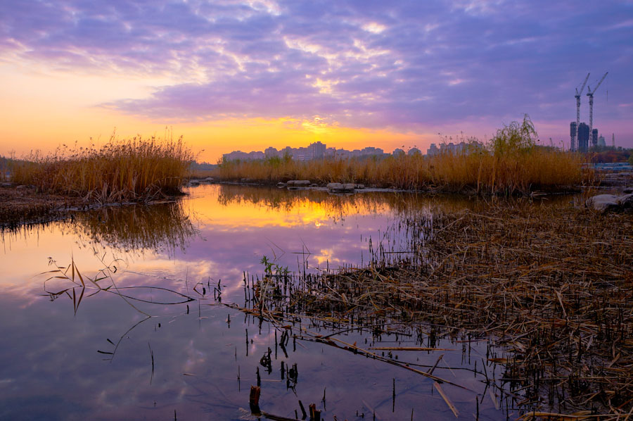 Olympic Forest Park is located to the north of the 'Bird's Nest' and 'Water Cube.' Shrouded in trees, reeds and grass and spotted with ponds, the 11.5-square-kilometer Olympic National Forest Park has become a popular destination for tourists to inhale some fresh air in Beijing. [su3000/bbs.fengniao] 