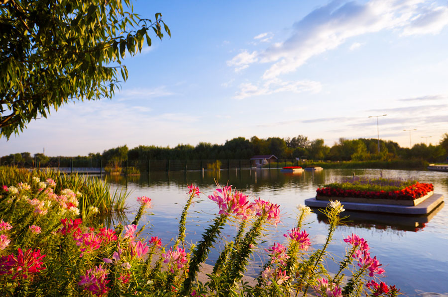 Olympic Forest Park is located to the north of the 'Bird's Nest' and 'Water Cube.' Shrouded in trees, reeds and grass and spotted with ponds, the 11.5-square-kilometer Olympic National Forest Park has become a popular destination for tourists to inhale some fresh air in Beijing. [su3000/bbs.fengniao] 