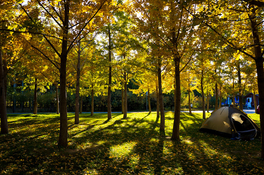 Olympic Forest Park is located to the north of the 'Bird's Nest' and 'Water Cube.' Shrouded in trees, reeds and grass and spotted with ponds, the 11.5-square-kilometer Olympic National Forest Park has become a popular destination for tourists to inhale some fresh air in Beijing. [su3000/bbs.fengniao] 