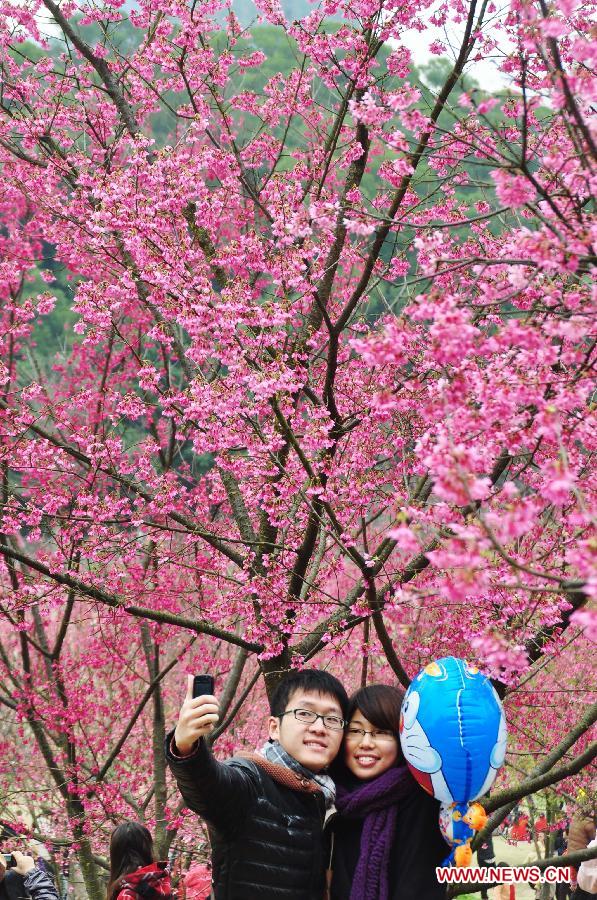 A young couple take photos of themselves in front of cherry blossoms at the Shimen Forest Park in Nanning, capital of southwest China's Guangxi Zhuang Autonomous Region, Feb. 26, 2012.