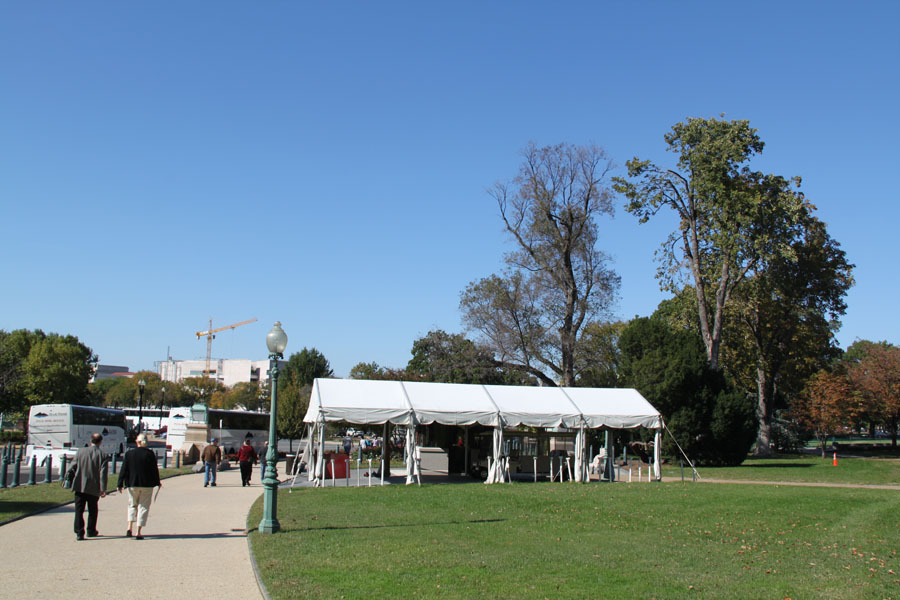 Photo shows the snapshots of trees in Washington, D.C. the United States. [Photo by Li Xiaohua/China.org.cn]