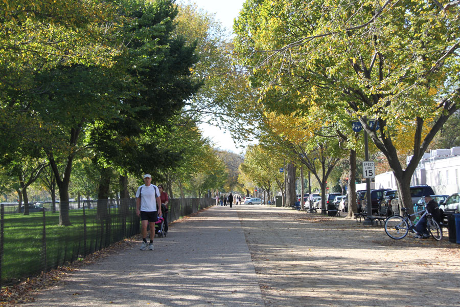 Photo shows the snapshots of trees in Washington, D.C. the United States. [Photo by Li Xiaohua/China.org.cn]