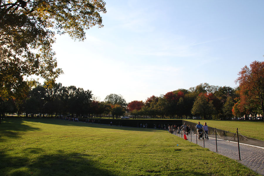 Photo shows the snapshots of trees in Washington, D.C. the United States. [Photo by Li Xiaohua/China.org.cn]