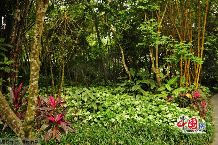 Located in Xinglong town, about one and a half hour's drive from Sanya in Hainan Province, Xinglong Tropical Botanical Garden was built in 1957. Covering an area of 400,000 square meters, it boasts 1,200 tropical plants. The botanic garden not only is an important agricultural base, but also a famous tourist spot. [China.org.cn] 