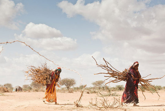 Climate change is a growing cause of displacement in Africa, where some areas have been devastated by drought. [UNHCR]