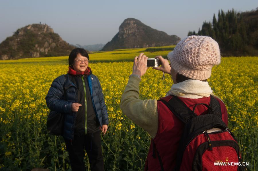  Tourists take photos in the field of cole flowers in Luoping County, southwest China's Yunnan Province, Feb. 29, 2012. More than 53,000 hectares of cole flowers in Luoping entered the blossom season recently. (Xinhua/Chu Xuejun) 