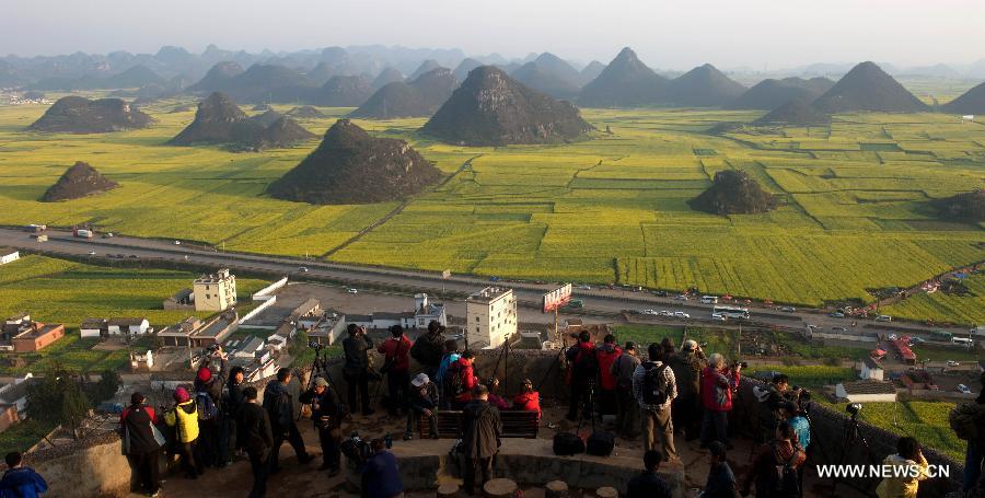 Photo taken on Feb. 29, 2012 shows the field of cole flowers in Luoping County, southwest China's Yunnan Province. More than 53,000 hectares of cole flowers in Luoping entered the blossom season recently. (Xinhua/Qin Qing) 
