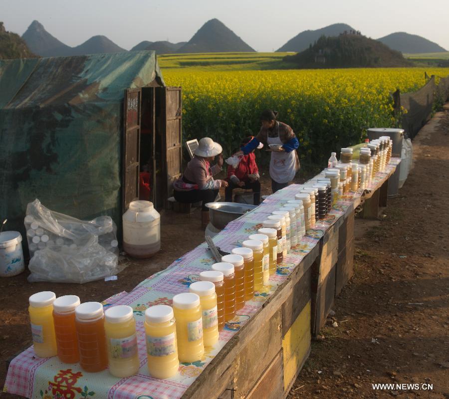 Farmers vend fresh honey near the field of cole flowers in Luoping County, southwest China's Yunnan Province, Feb. 29, 2012. More than 53,000 hectares of cole flowers in Luoping entered the blossom season recently. (Xinhua/Chu Xuejun) 