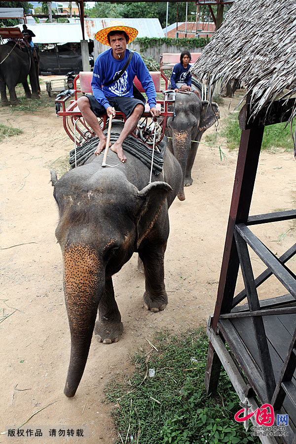Phuket is Thailand's largest island, the jewel in the Indian Ocean and the most representative of the Southeast Asian island tourist resort. First of all its charm comes from its beautiful sea. Types of beaches here are very rich: clean beaches, private resort beaches of luxurious feel and sea sports beaches with a variety of recreational activities at night. Therefore, visitors to go there, whether single or with companion, can enjoy good time in Phuket.
