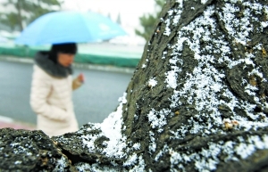 Spring snowfall hits Beijing on Friday morning. [qianlong.com]