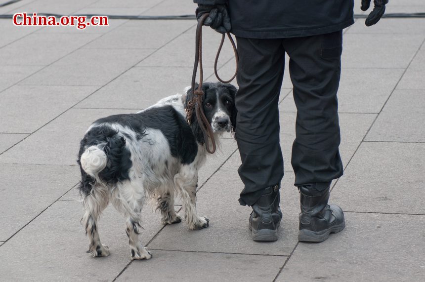 Police also sniff dogs to detect possible dangerous items on journalists&apos; vehicles parked on the Tian&apos;anmen Square on Saturday afternoon as the CPPCC opens its annual sessions. [China.org.cn]